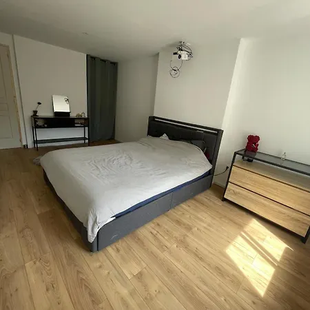 Grande Maison De Groupe Au Centre De Avec Billiard Et Garages Privés Hébergement de vacances Toul